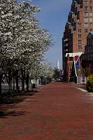 Baltimore20140412127.JPG