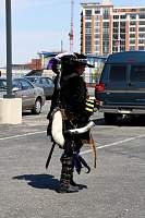 Baltimore20140412117.JPG