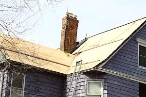 Roof_20150416_118.JPG