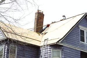 Roof_20150416_128.JPG