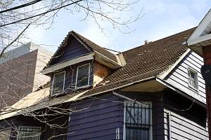 Roof_20150416_151.JPG