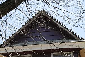 Roof_20150416_165.JPG