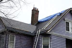 Roof_20150417_003.JPG