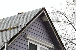 Roof_20150417_160.JPG