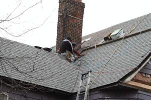 Roof_20150417_165.JPG