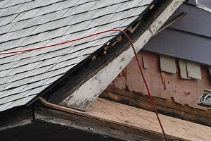 Roof_20150417_180.JPG