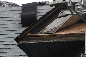 Roof_20150417_198.JPG