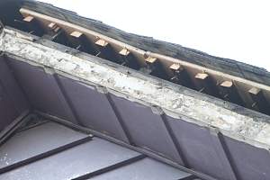 Roof_20150417_414.JPG