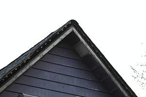 Roof_20150417_417.JPG