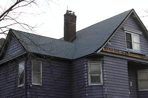 Roof_20150417_423.JPG