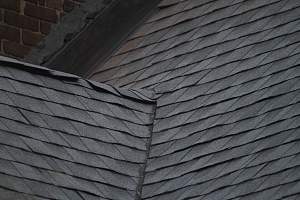 Roof_20150417_428.JPG