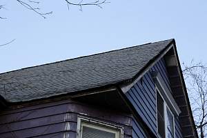 Roof_20150418_002.JPG