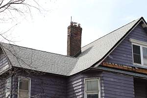 Roof_20150418_035.JPG