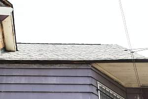 Roof_20150418_066.JPG