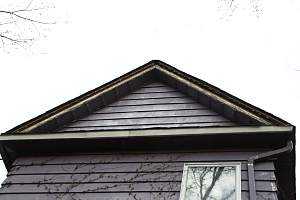 Roof_20150421_016.JPG