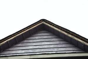 Roof_20150421_017.JPG