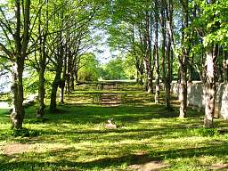 web_IMG_2167_1280.jpg