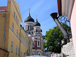 web_IMG_2239_1280.jpg