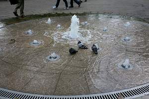 web_England251_1600.jpg