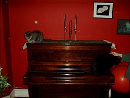 web_IMAG0077_1280.jpg