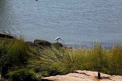 JP_20120825web1016.JPG