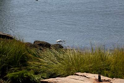 JP_20120825web1019.JPG