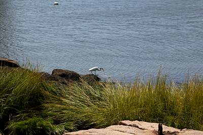 JP_20120825web1020.JPG