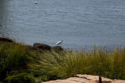 JP_20120825web1021.JPG