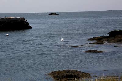 JP_20120825web1025.JPG
