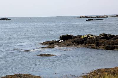 JP_20120825web1026.JPG