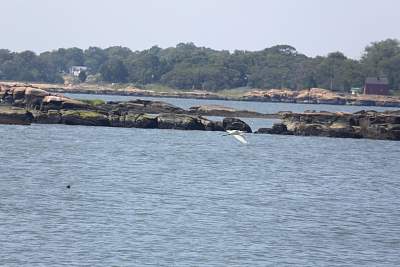 JP_20120825web1032.JPG
