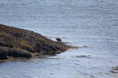 JP_20120825web1034.JPG