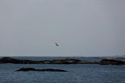 JP_20120825web1090.JPG