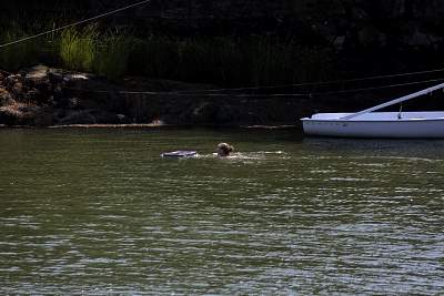 JP_20120825web1136.JPG