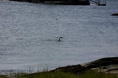 JP_20120825web1258.JPG