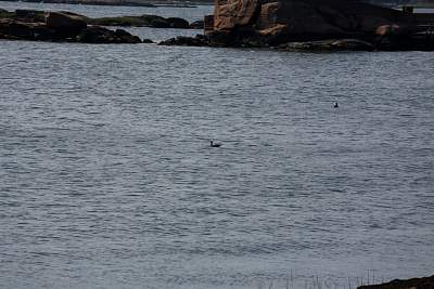 JP_20120825web1264.JPG