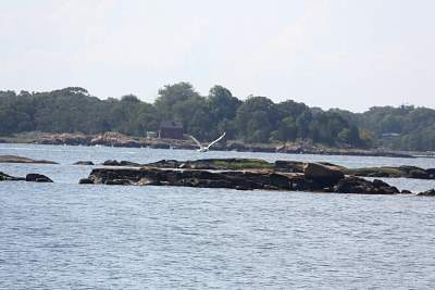 JP_20120825web1265.JPG