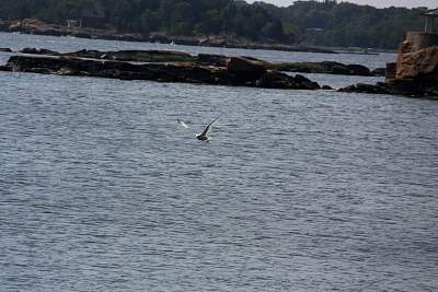 JP_20120825web1266.JPG
