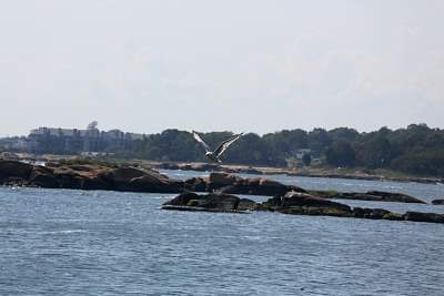 JP_20120825web1267.JPG