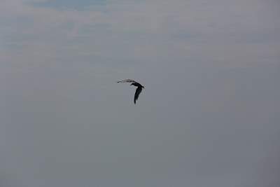 JP_20120825web1268.JPG
