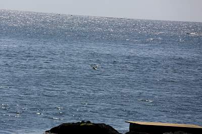 JP_20120825web1269.JPG