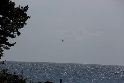 JP_20120825web1270.JPG