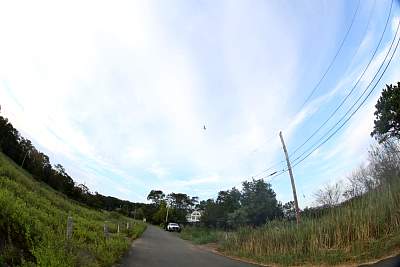 JP_20120825web1557.JPG