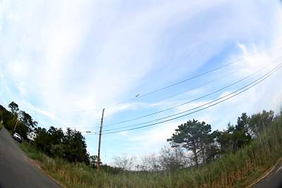 JP_20120825web1558.JPG