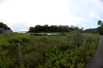 JP_20120825web1559.JPG
