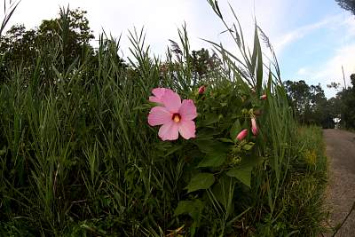 JP_20120825web1571.JPG