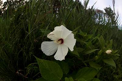 JP_20120825web1573.JPG