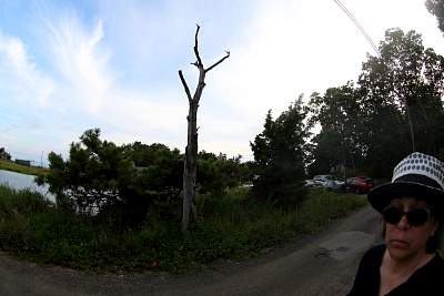 JP_20120825web1576.JPG