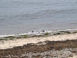 web_IMG_3528_1280.jpg