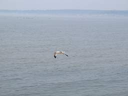 web_IMG_3531_1280.jpg